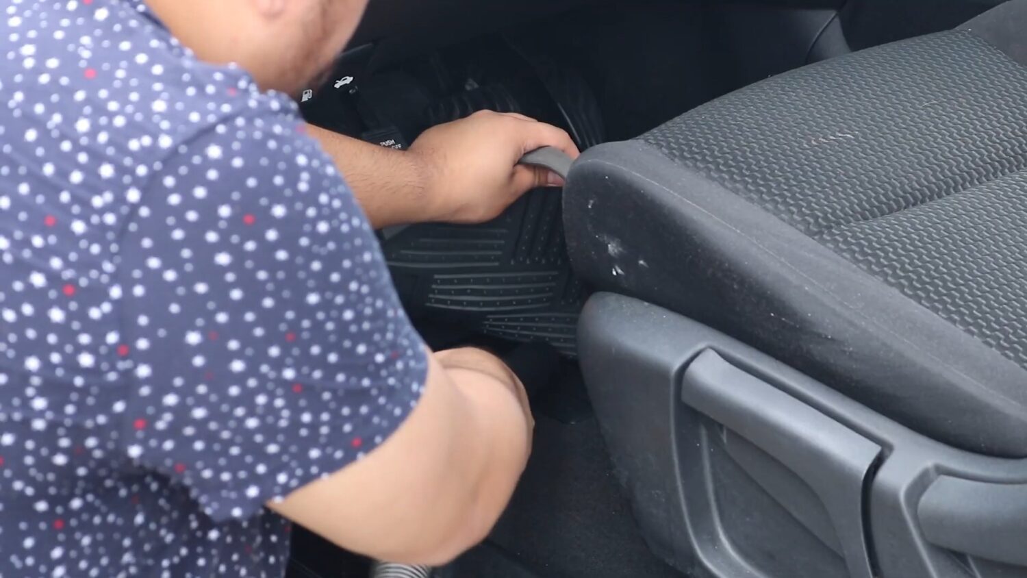 Useful Tips To Get Rid Of Fleas In Your Car Phox Band