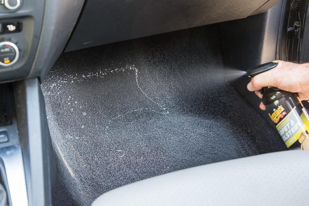 ants in car dashboard